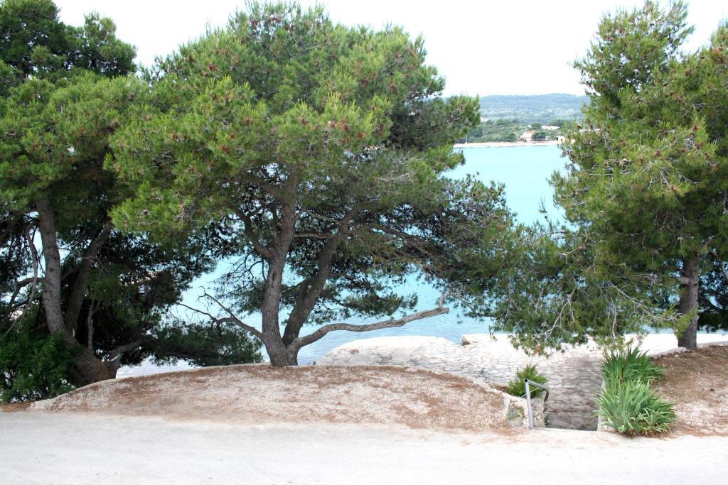 Apartman Paris